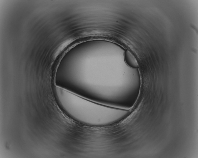 X0000092031066200709061346