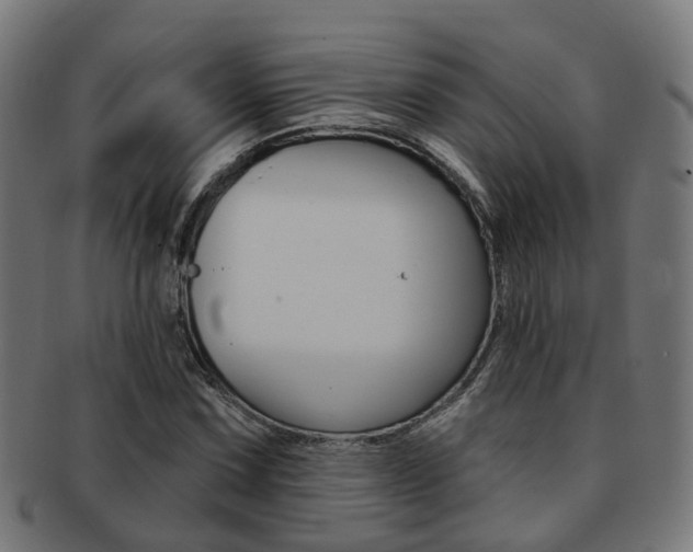 X0000092031067200709061346