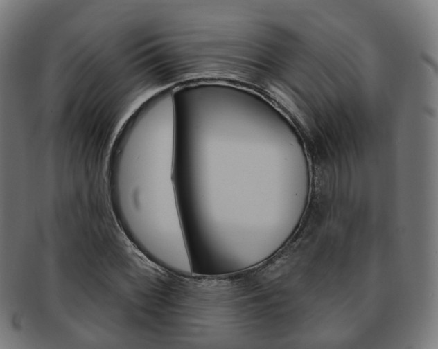 X0000092031068200709061346