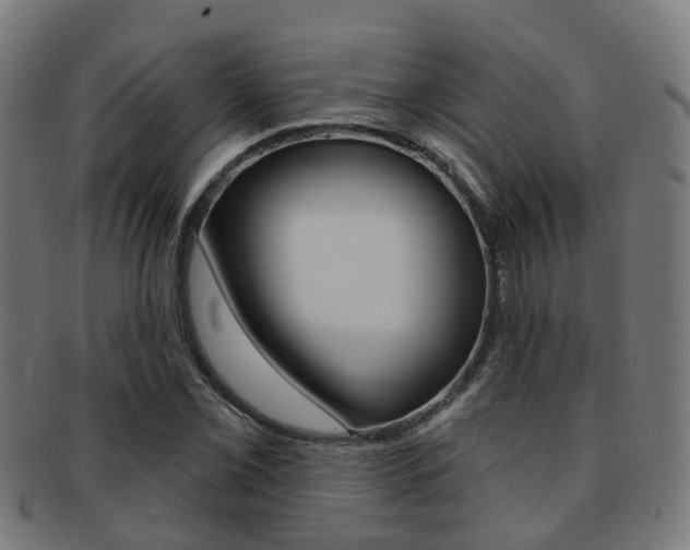 X0000092031069200709061346