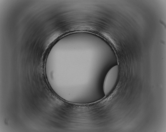 X0000092031071200709061346