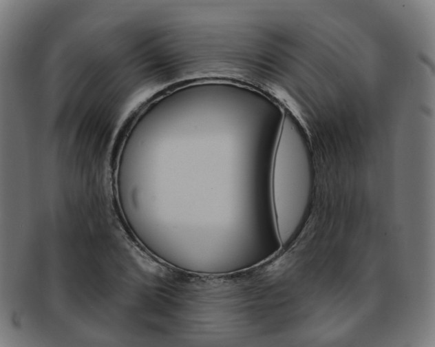 X0000092031072200709061346