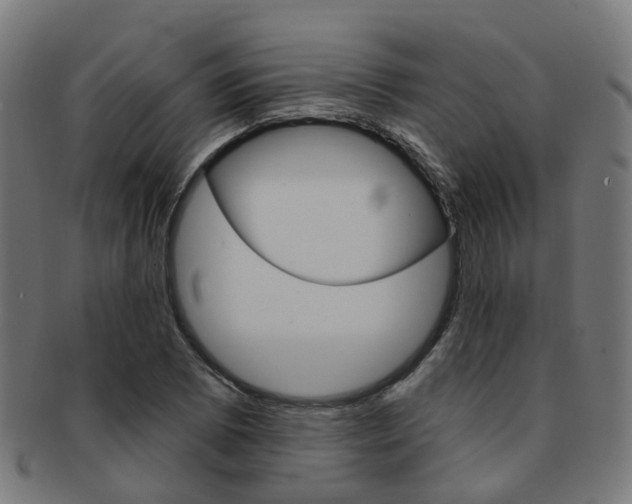 X0000092031073200709061346