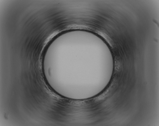 X0000092031074200709061346