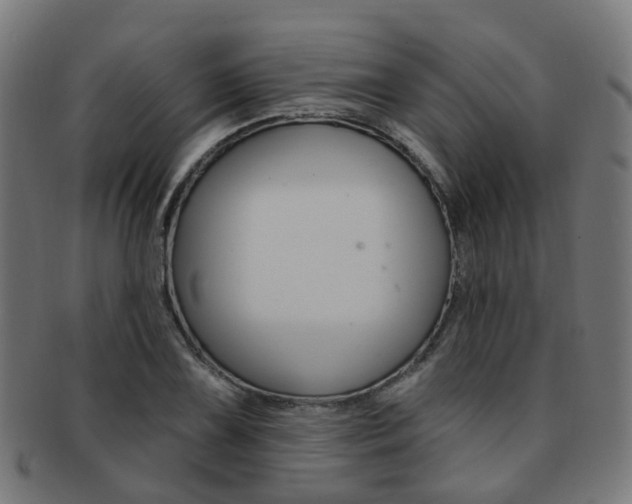 X0000092031075200709061346