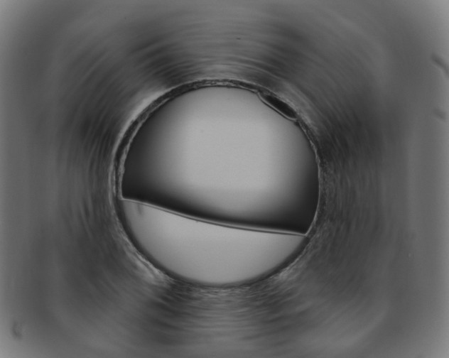X0000092031076200709061346