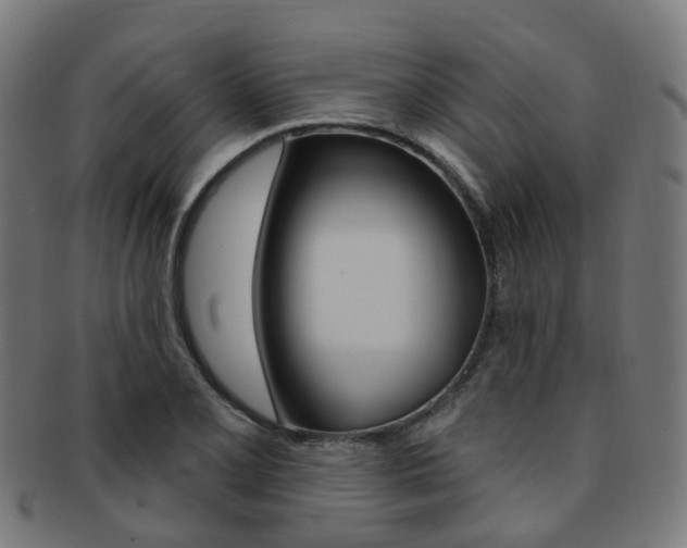 X0000092031077200709061346