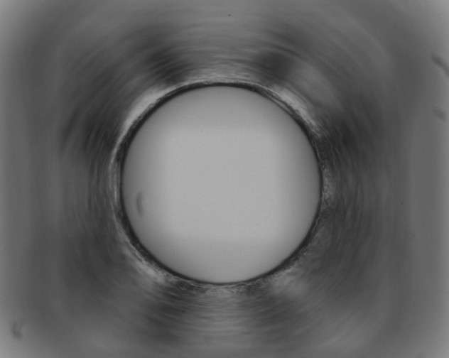 X0000092031078200709061346