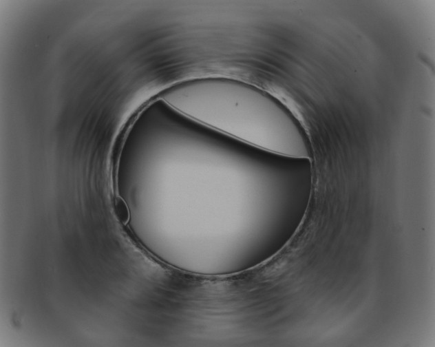 X0000092031080200709061346