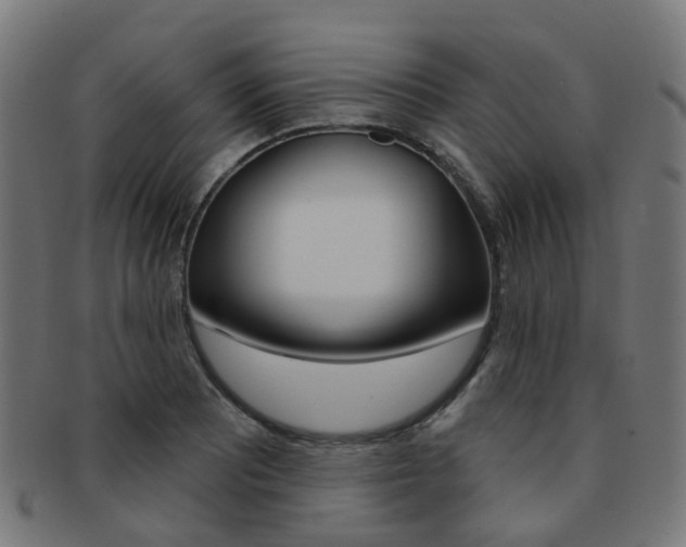 X0000092031081200709061346