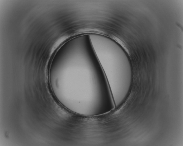 X0000092031082200709061346