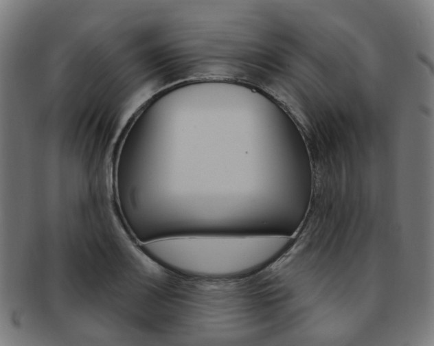 X0000092031083200709061346