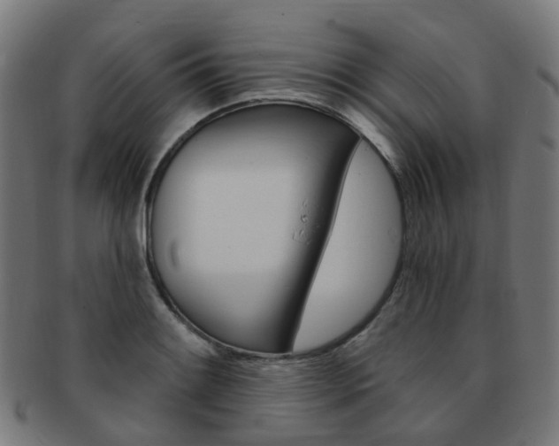 X0000092031084200709061346
