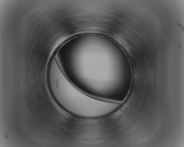 X0000092031085200709061346