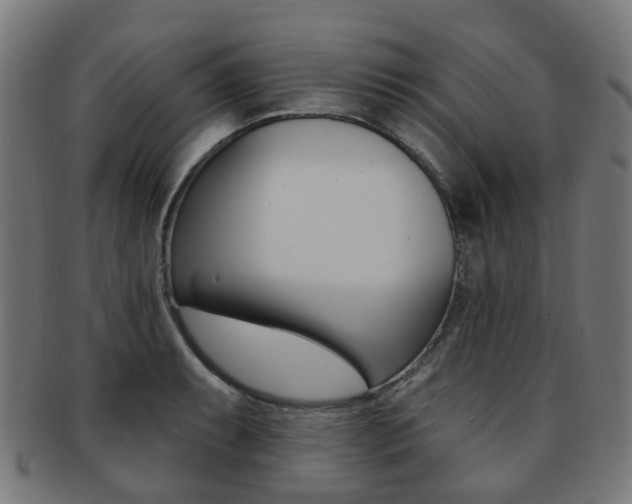 X0000092031087200709061346