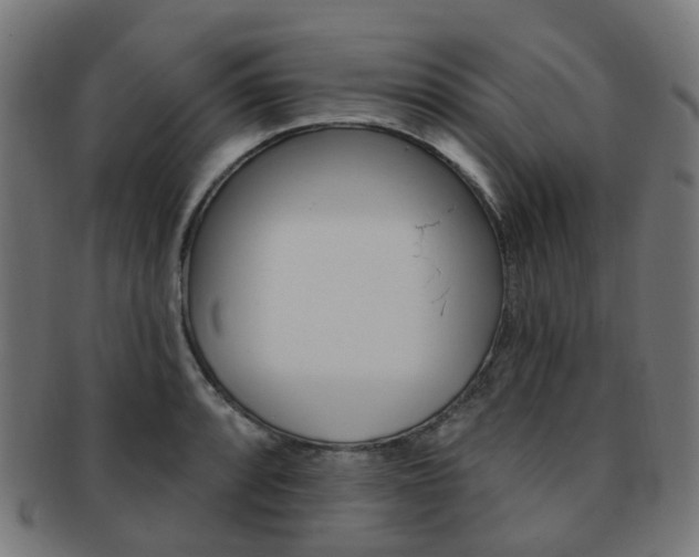 X0000092031088200709061346