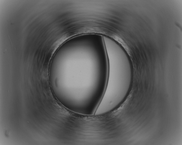 X0000092031089200709061346