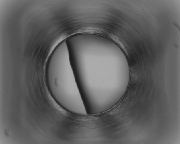 X0000092031091200709061346