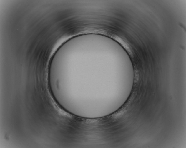 X0000092031094200709061346