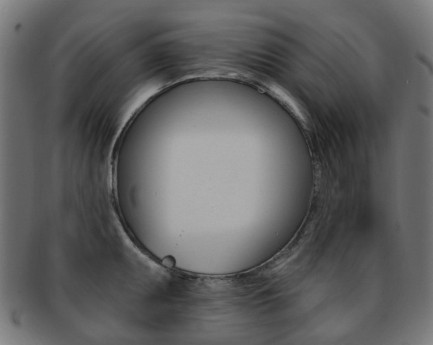X0000092031095200709061346