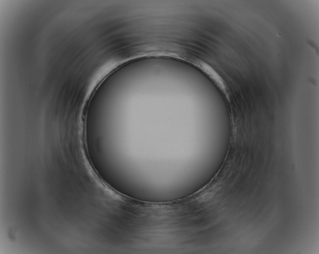 X0000092031096200709061346