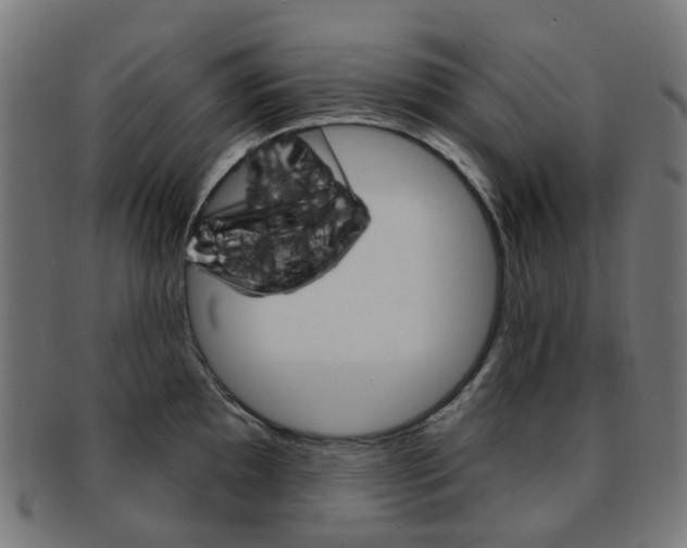 X0000092031097200709061346