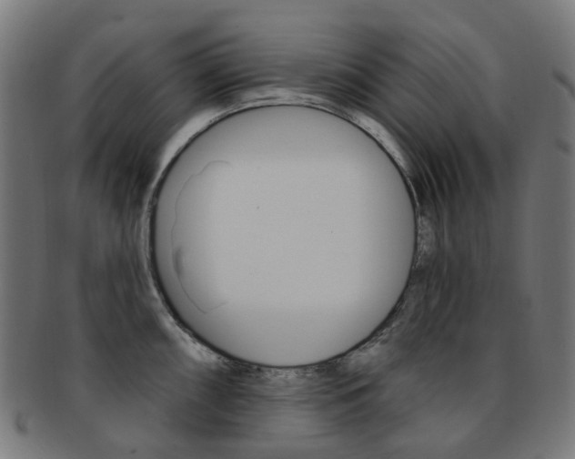 X0000092031098200709061346