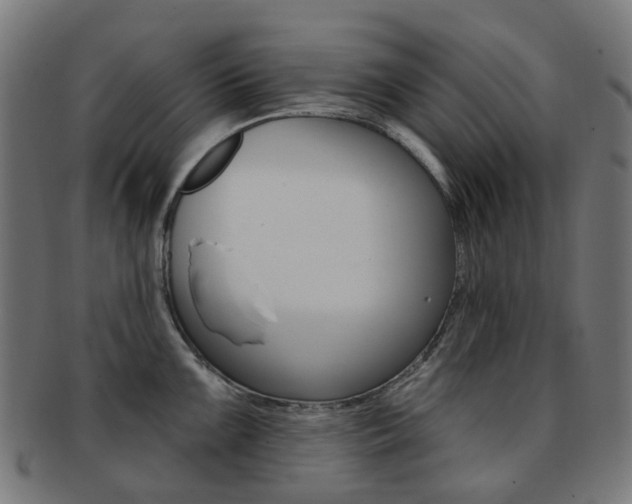 X0000092031099200709061346