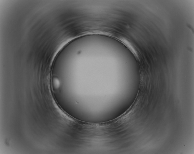 X0000092031100200709061346