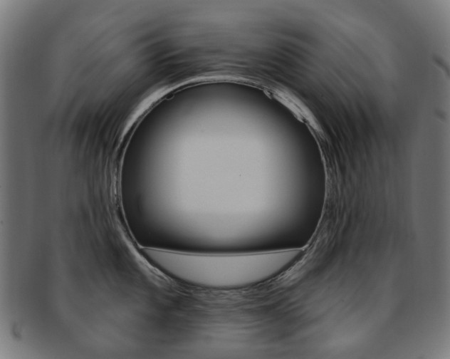 X0000092031101200709061346