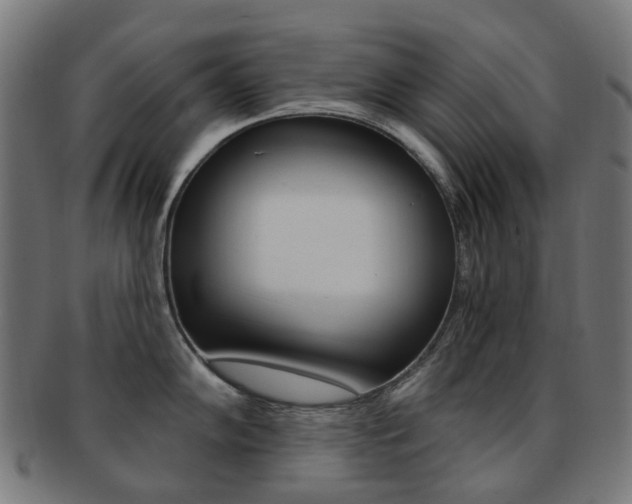 X0000092031102200709061346