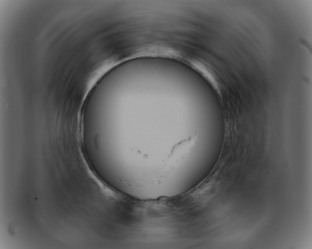 X0000092031103200709061346