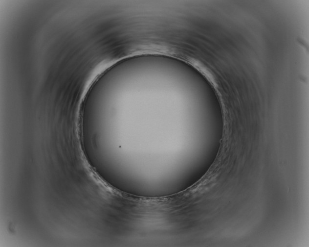 X0000092031104200709061346