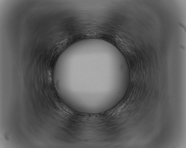 X0000092031106200709061345