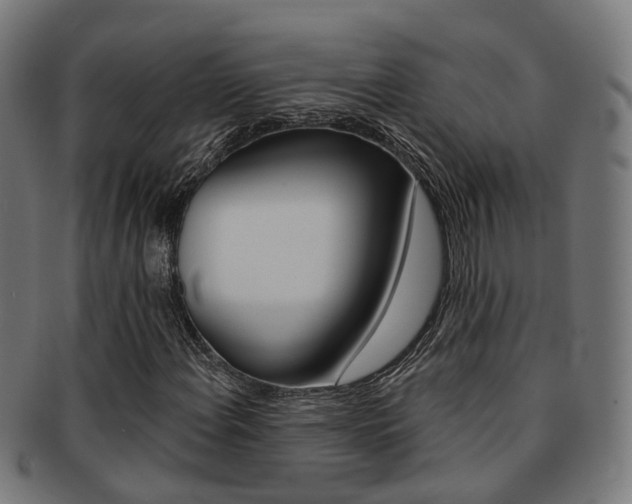 X0000092031108200709061345