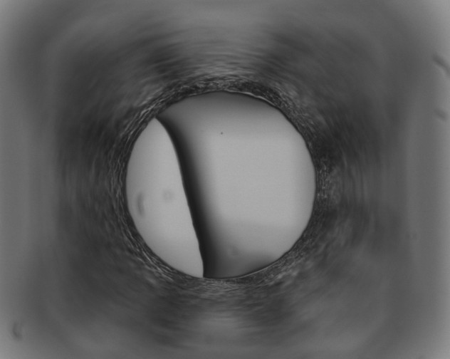 X0000092031109200709061345