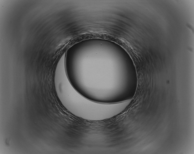 X0000092031110200709061345
