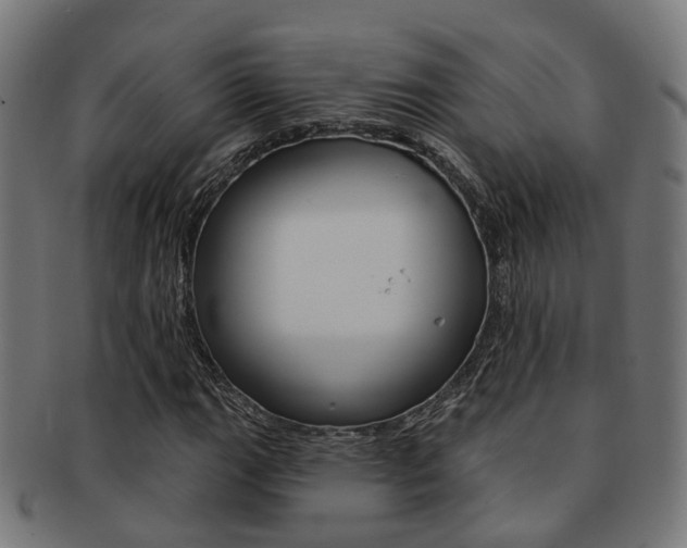 X0000092031111200709061345