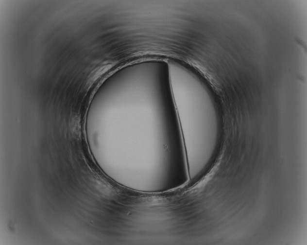 X0000092031113200709061345