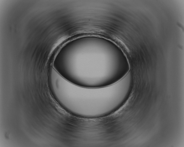 X0000092031114200709061345