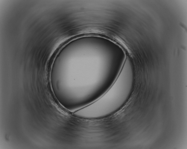 X0000092031116200709061345