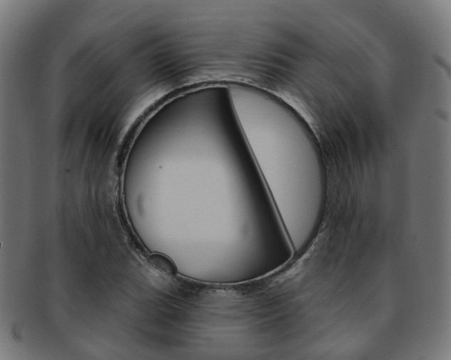 X0000092031119200709061345