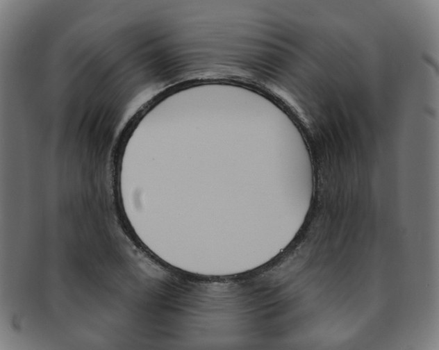 X0000092031122200709061345