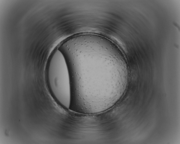 X0000092031125200709061345