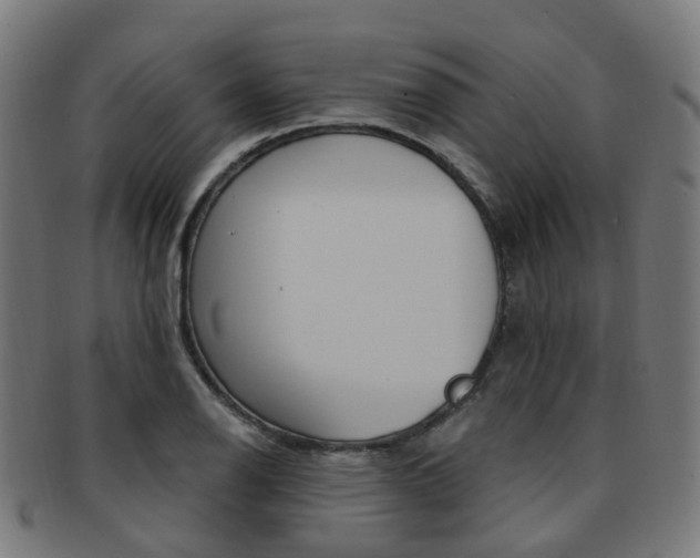 X0000092031126200709061345