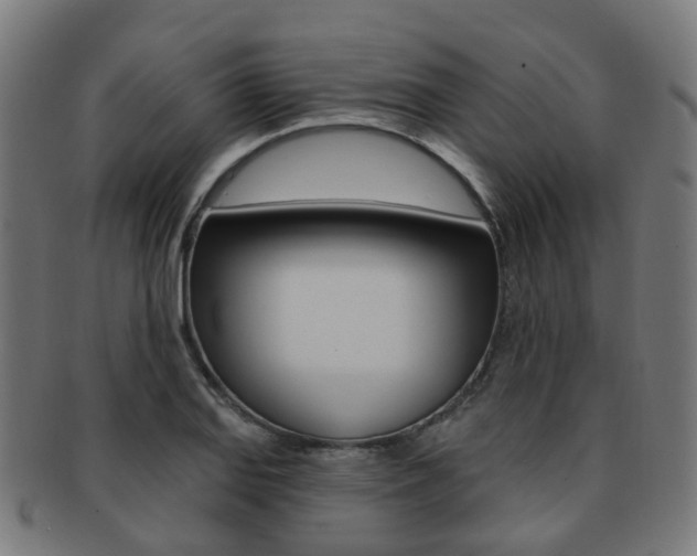 X0000092031127200709061345
