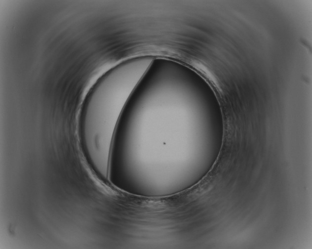 X0000092031128200709061345