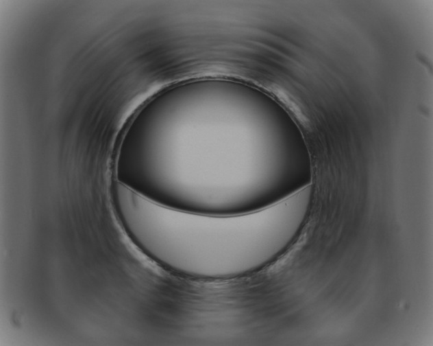 X0000092031134200709061345