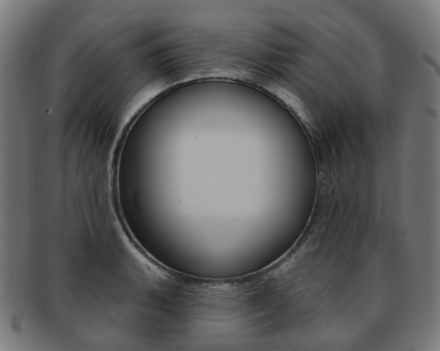X0000092031135200709061345