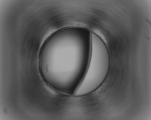 X0000092031136200709061345